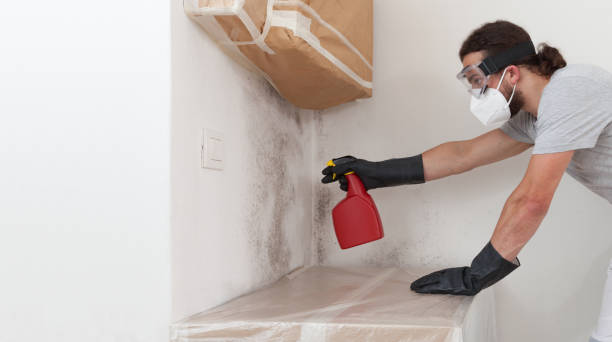 Professional Attic Mold Remediation technician working in Richmond, VA