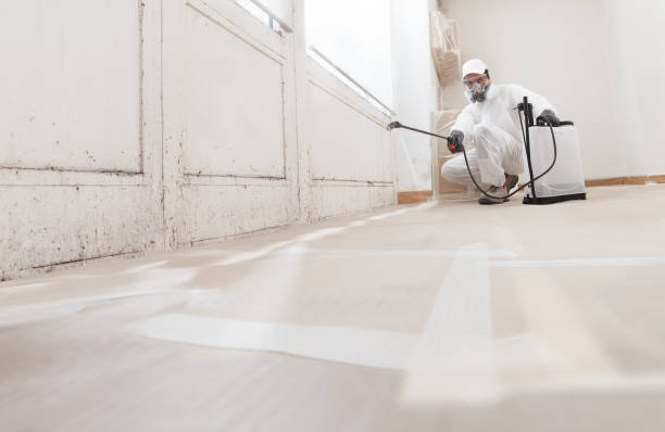 24/7 Emergency Attic Mold Remediation experts in Richmond, VA