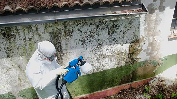 Top rated local Attic Mold Remediation specialists in Richmond, VA
